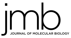jmb_logo_black